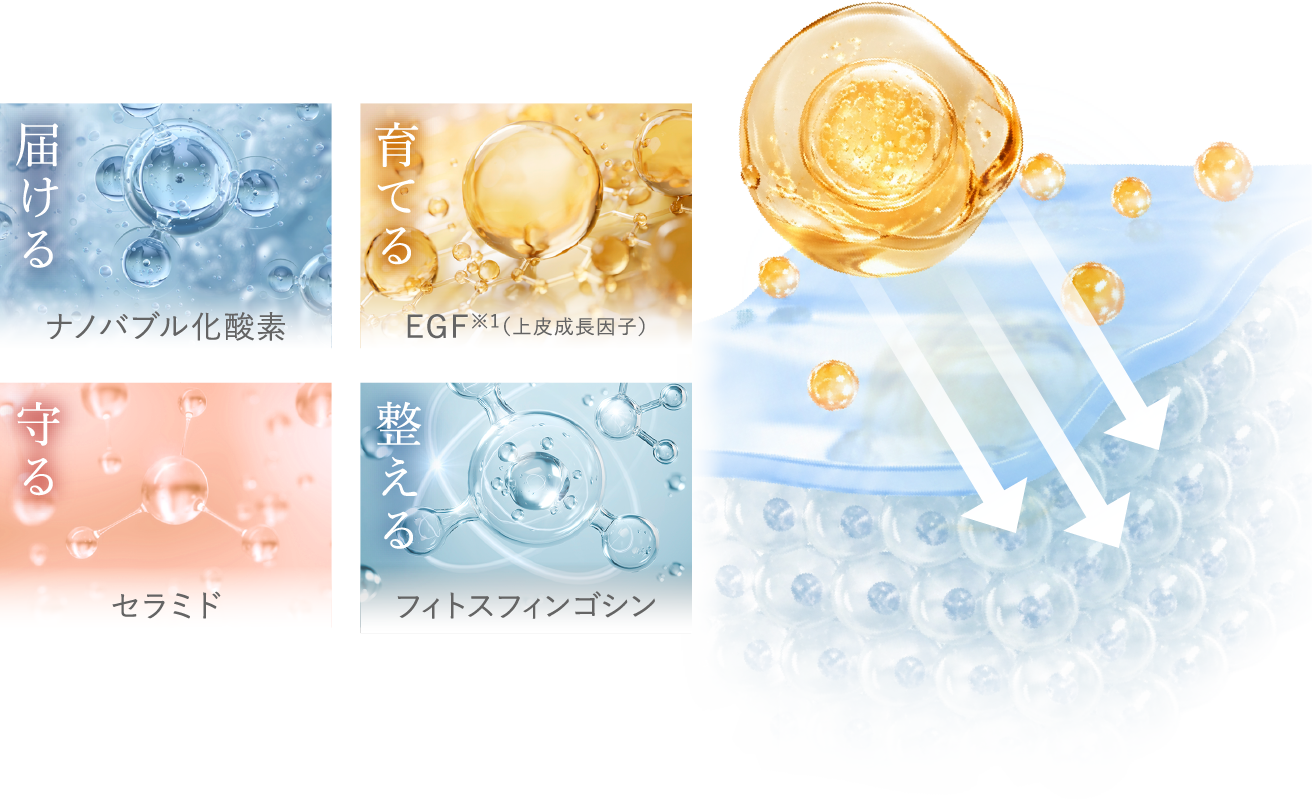 届ける ナノバブル化酸素 育てる EGF※1（上皮成長因子） 守る セラミド 整える フィトスフィンゴシン