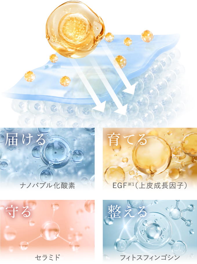 届ける ナノバブル化酸素 育てる EGF※1（上皮成長因子） 守る セラミド 整える フィトスフィンゴシン