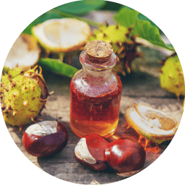 マロニエエキス