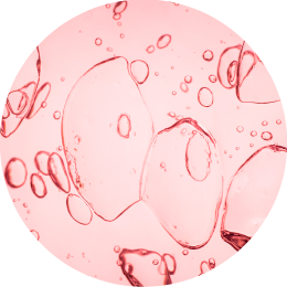 加水分解コラーゲン末