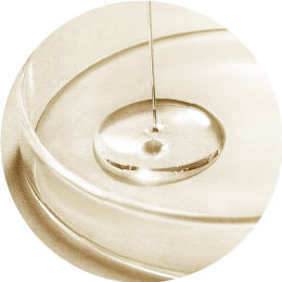 グリチルリチン酸ジカリウム