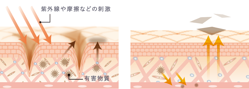 紫外線や摩擦などの刺激
